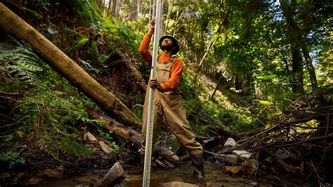 cal poly environmental management and protection